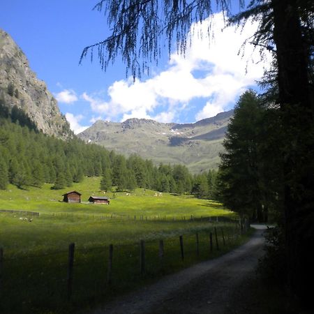 Bed and Breakfast Haus Pinter Assling Zewnętrze zdjęcie